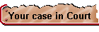 Your case in Court